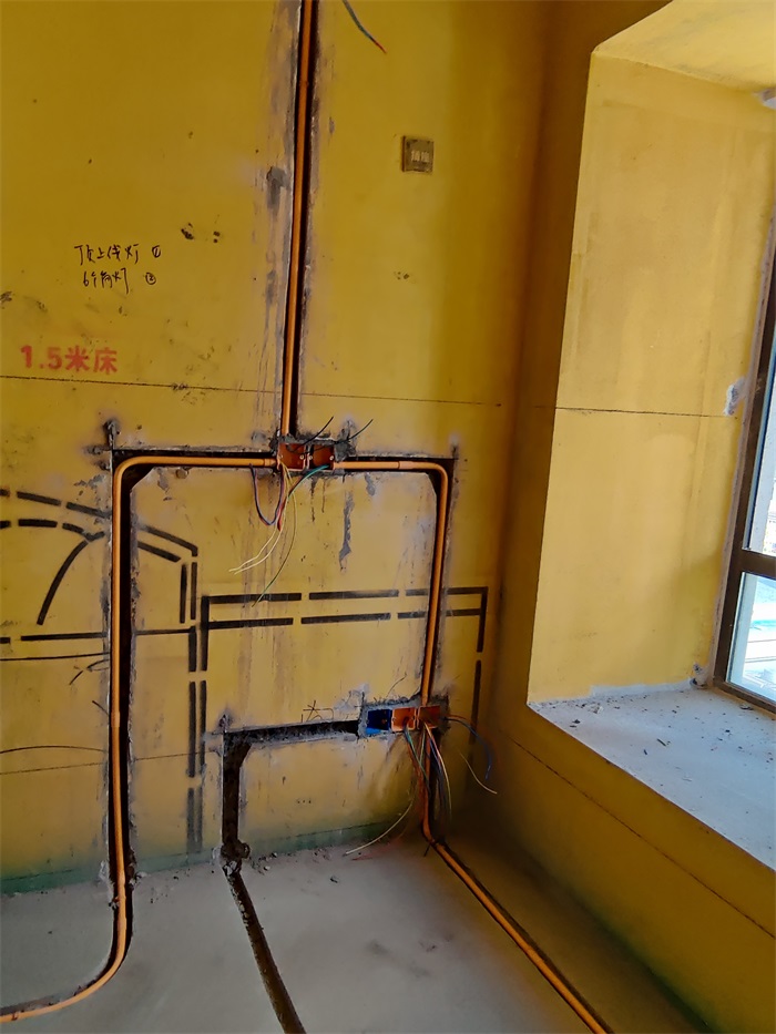 IMG_20220805_153755.jpg