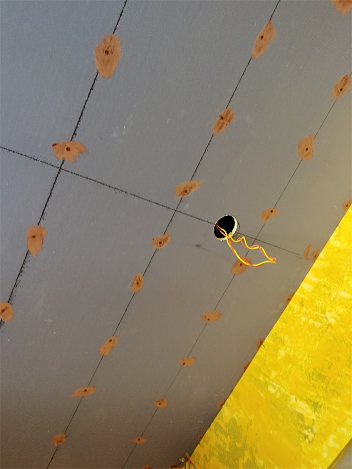 IMG_20220805_142519.jpg