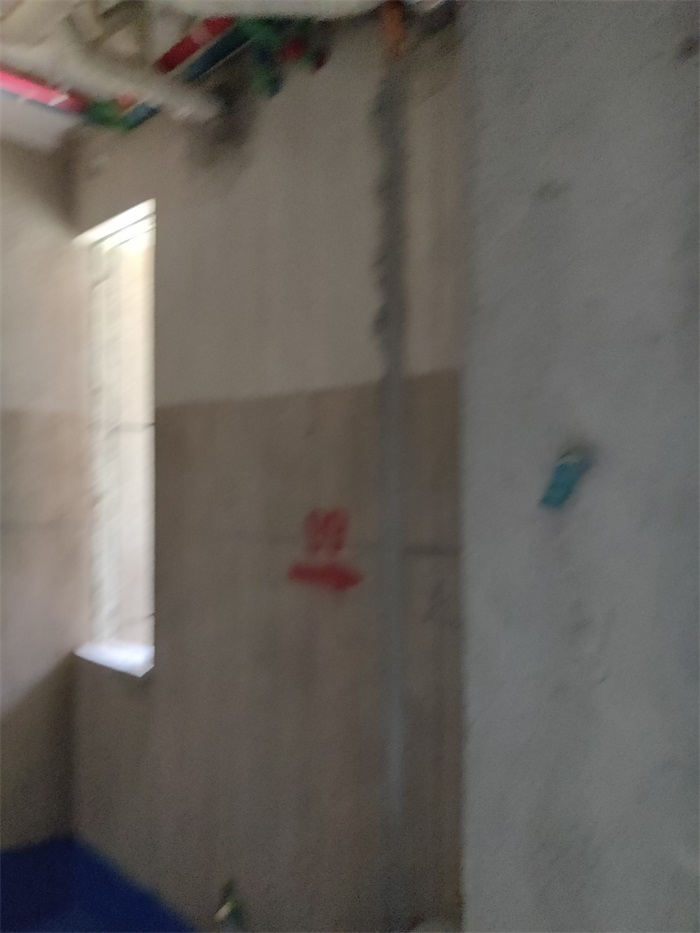 IMG_20220724_100441.jpg