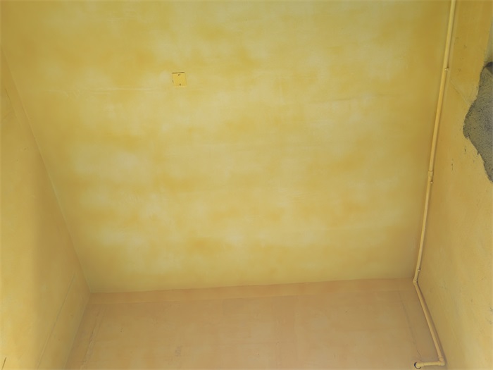 IMG_20220812_100228.jpg