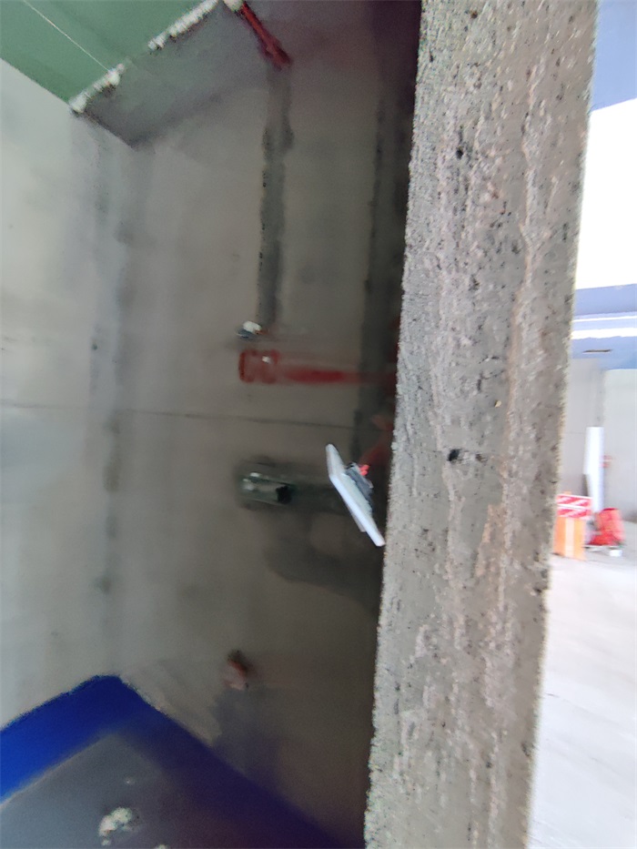 IMG_20220811_094116.jpg