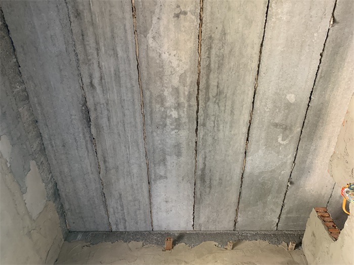 IMG_8527.JPG