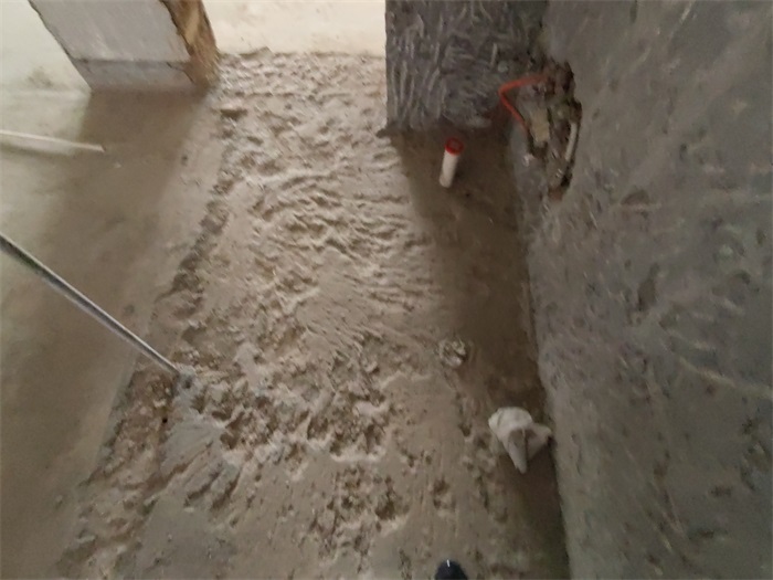 IMG_20220810_153205.jpg