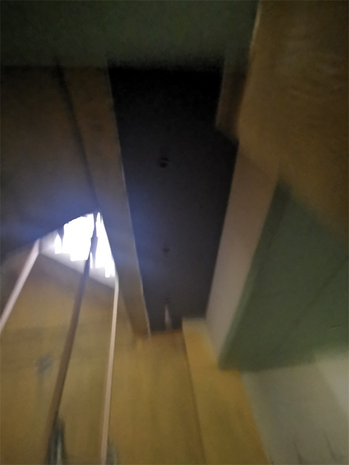 IMG_20220808_103850.jpg
