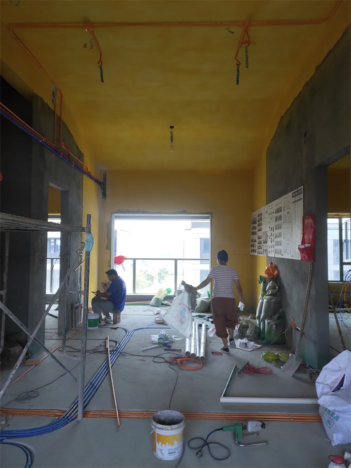 IMG_20220818_105316.jpg