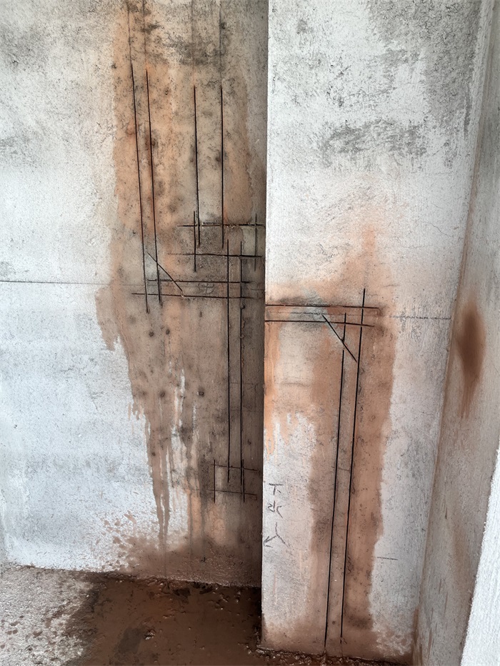 IMG_8216 - ����.JPG