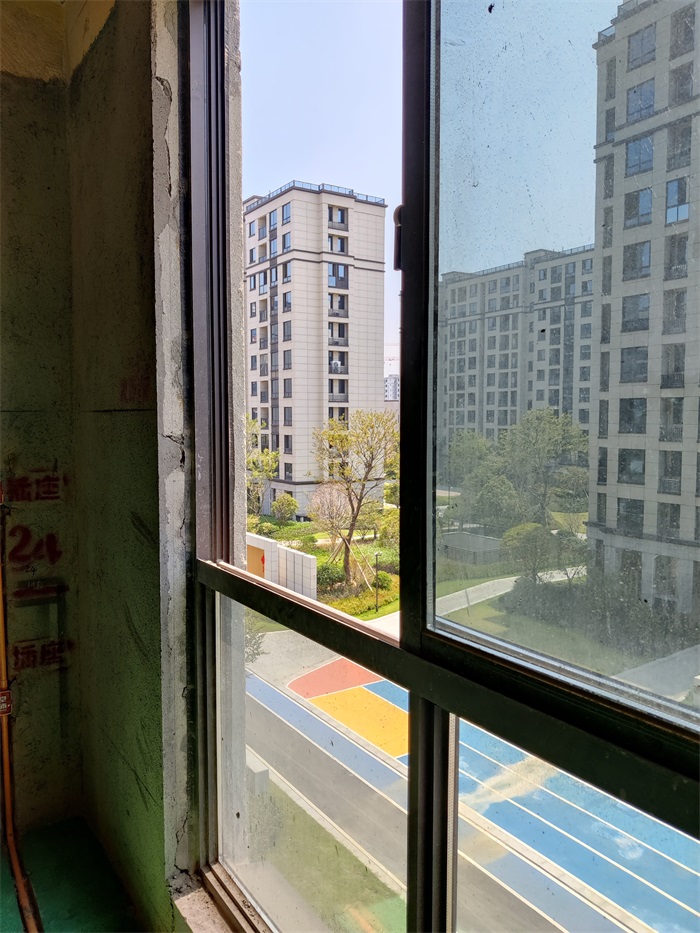IMG_20220818_115409.jpg