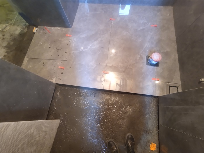 IMG_20220824_145141.jpg