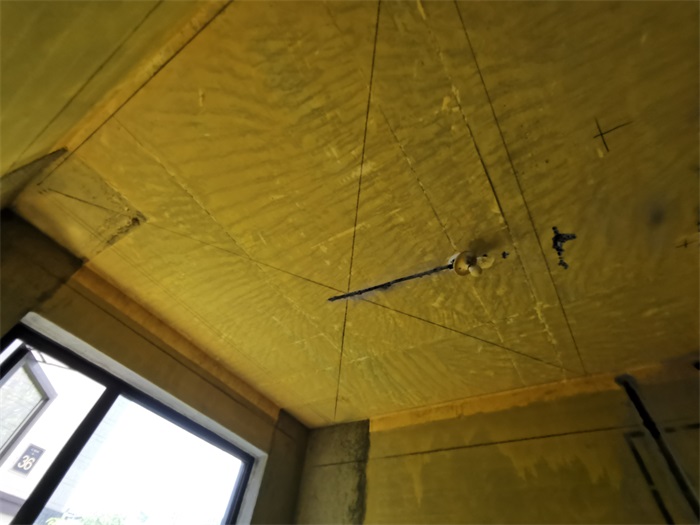 IMG_20220811_112007.jpg