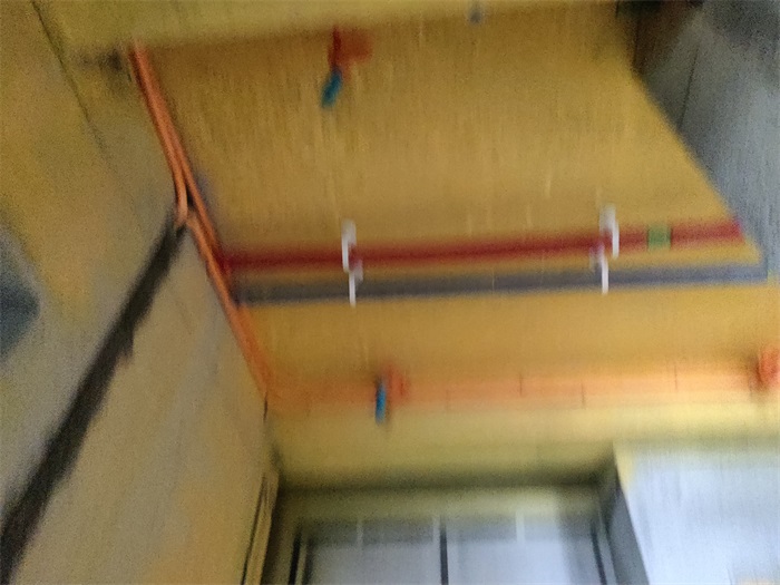 IMG_20220901_083020.jpg