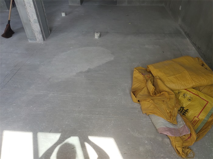 IMG_20220906_100618.jpg