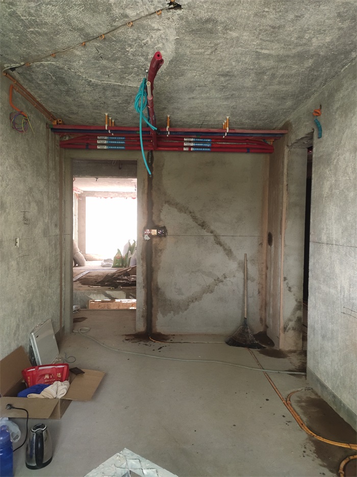 IMG_20220908_105950.jpg