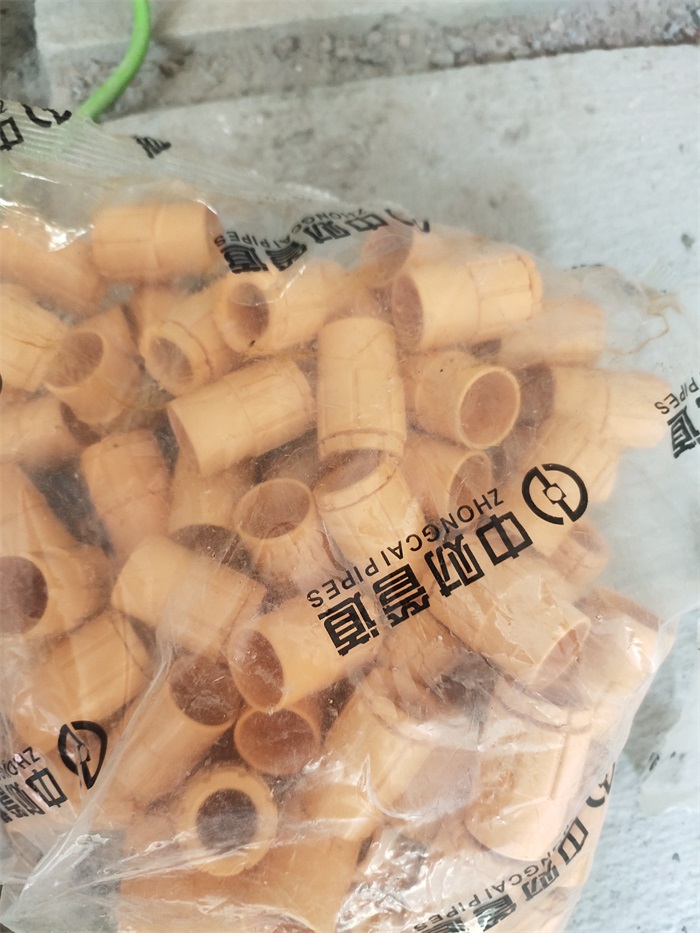 IMG_20220910_105608.jpg