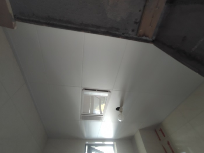 IMG_20220911_133231.jpg