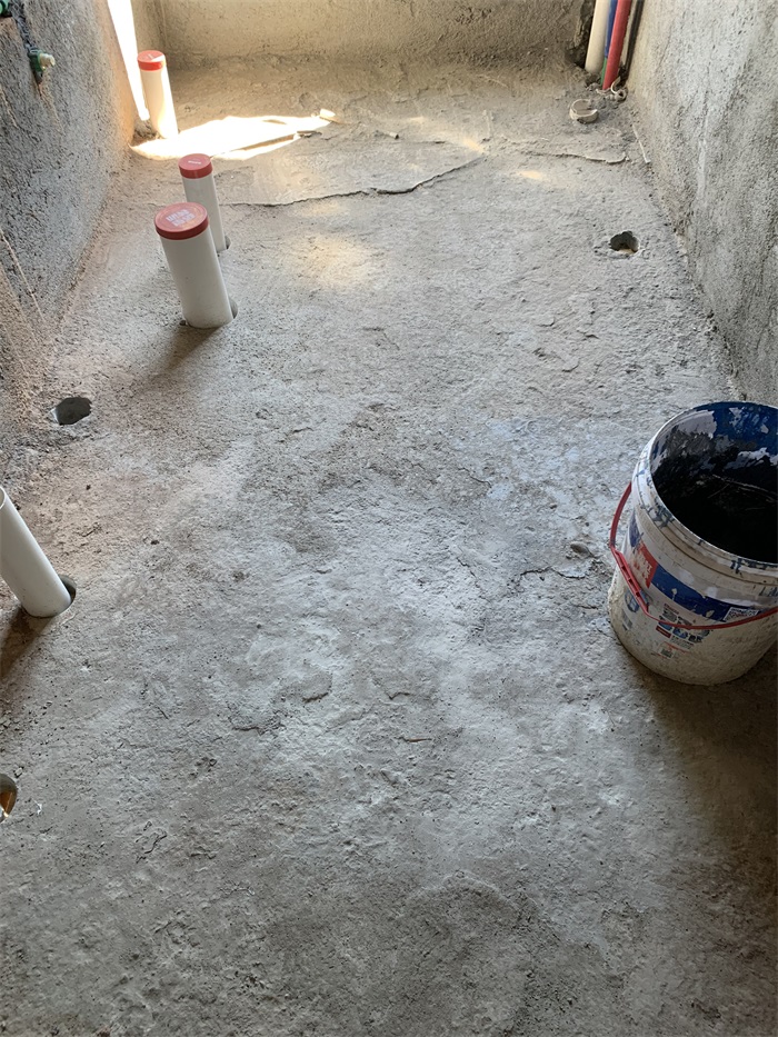 IMG_4789.JPG