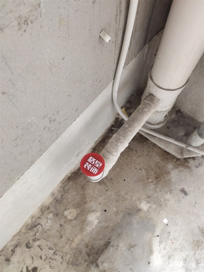 IMG_20220916_094034.jpg