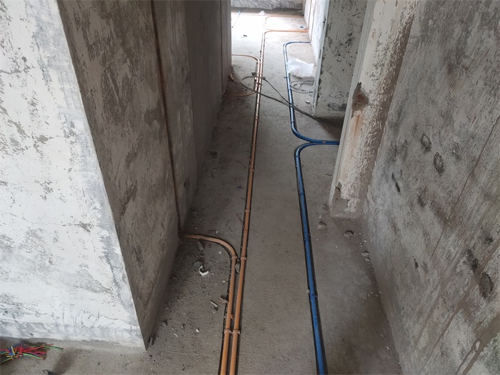 IMG_20220915_142745.jpg