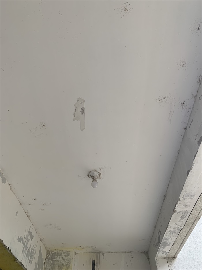 IMG_5769.JPG