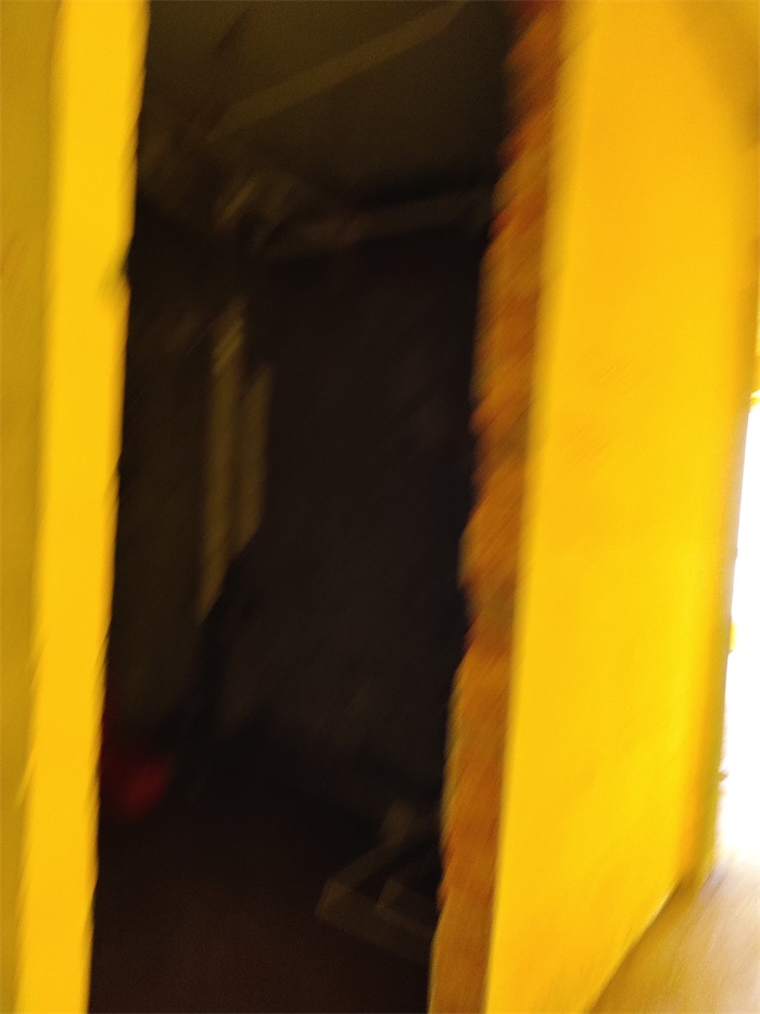 IMG_20220922_094309.jpg