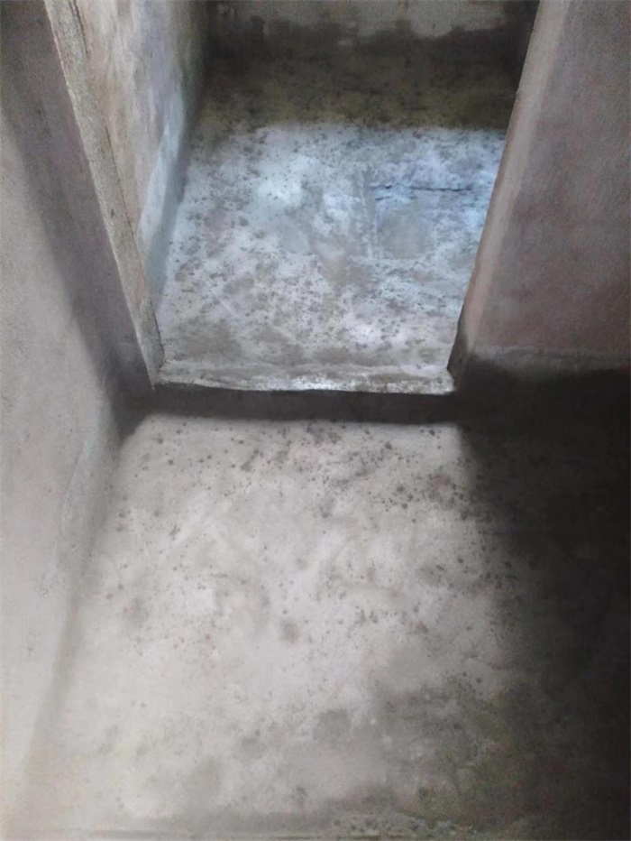 mmexport1664249629267.jpg