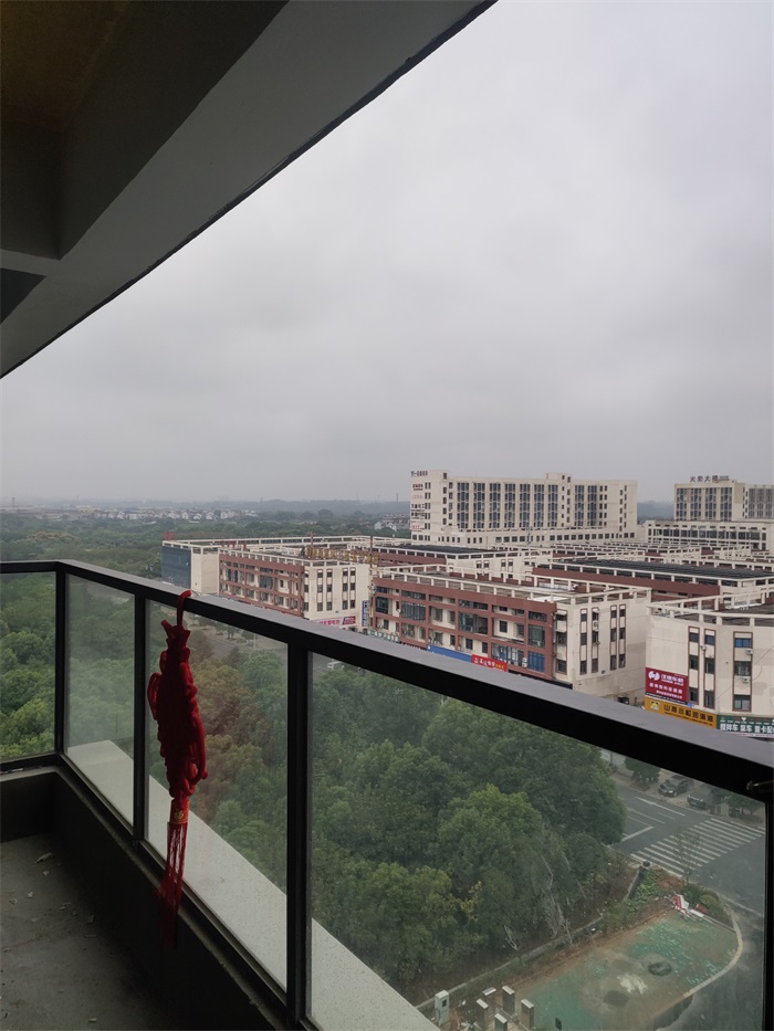 IMG_20221006_093913.jpg