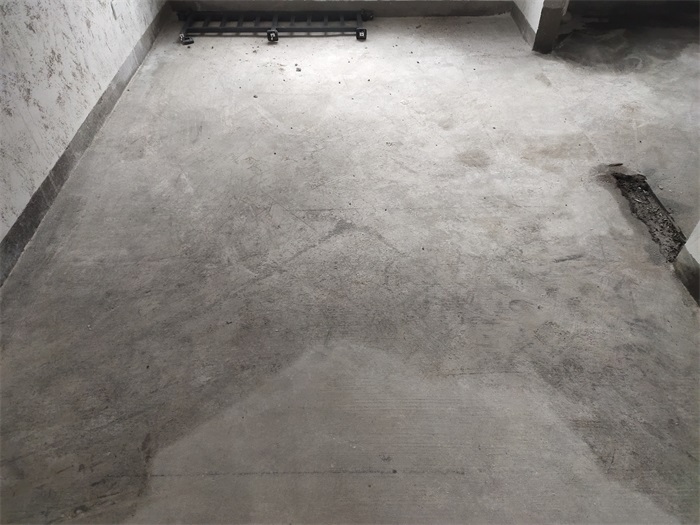 IMG_20221006_142659.jpg