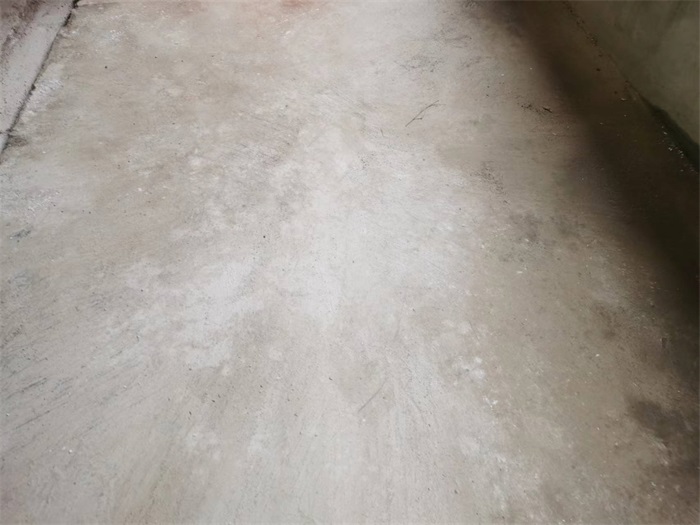2d264a72602ac402d7c69ea25831903.jpg