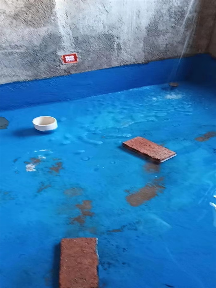 e01b8ce2ed16c5ec6e378f7e5232715.jpg