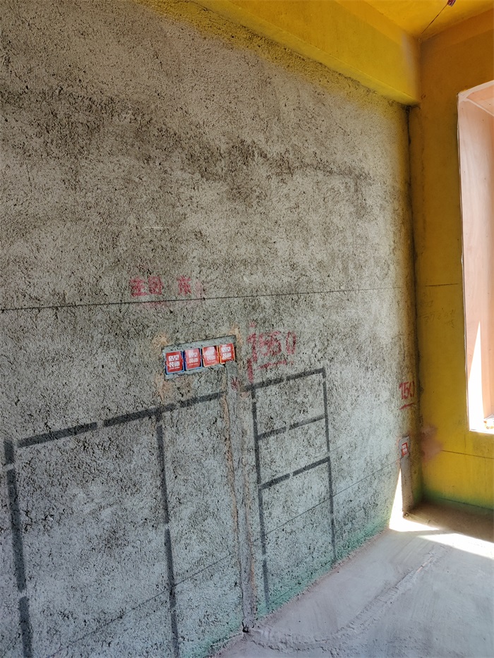 IMG_20220926_134937.jpg