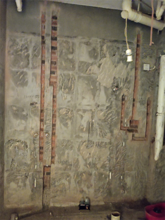 IMG_20220927_165003.jpg