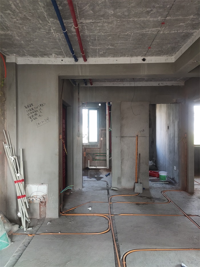 IMG_20221012_083329.jpg