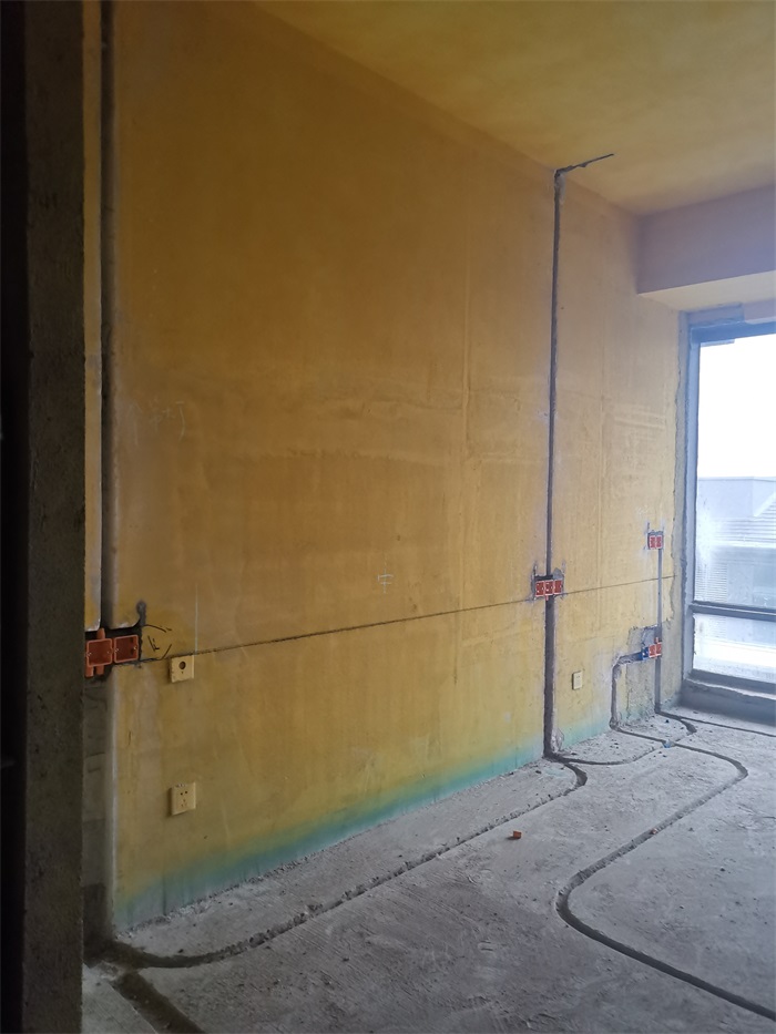 IMG_20221007_084546.jpg