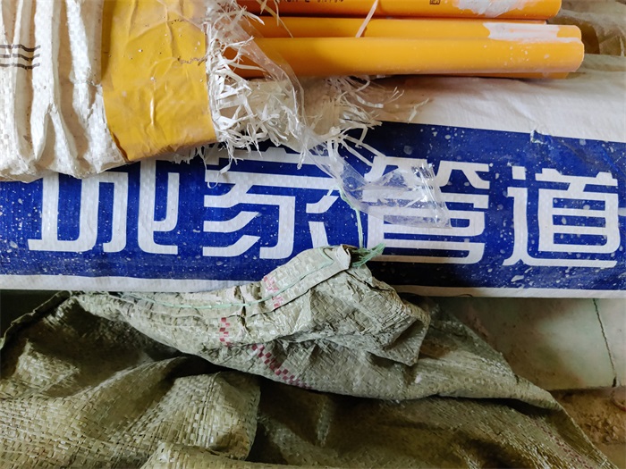 IMG_20221005_094923.jpg