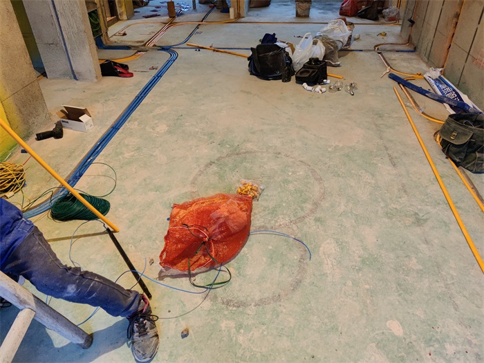 IMG_20221009_170412.jpg