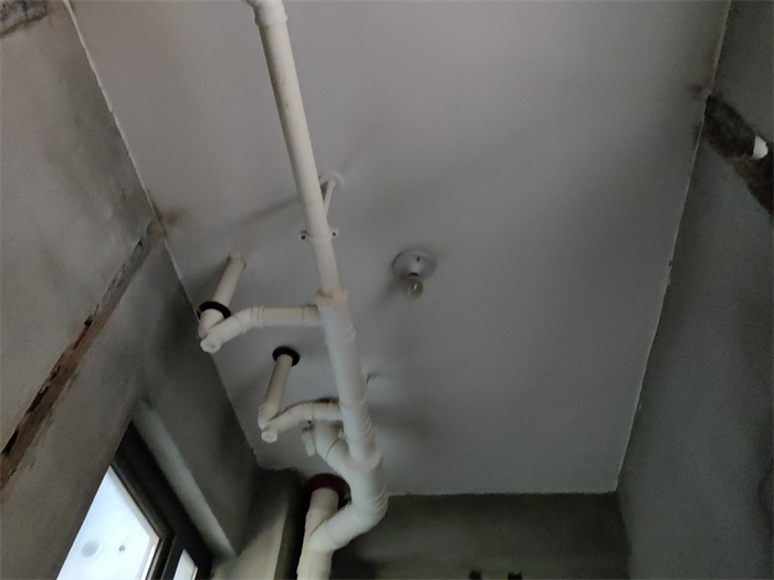 IMG_20221018_093332.jpg