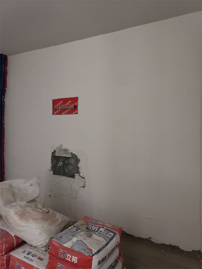 IMG_20221009_113817.jpg