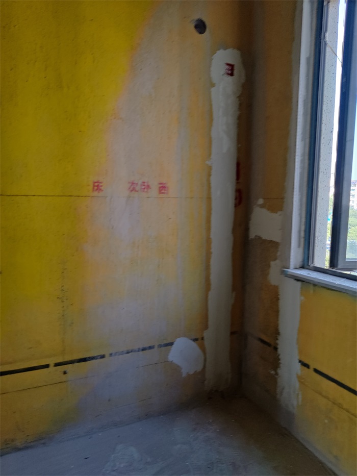 IMG_20221019_085805.jpg