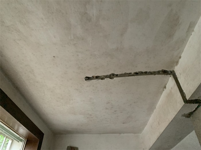 IMG_0726.JPG