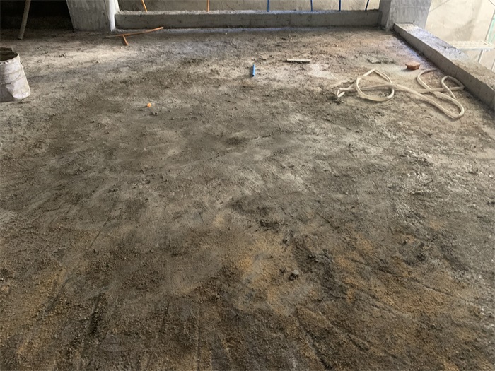 IMG_1529.JPG