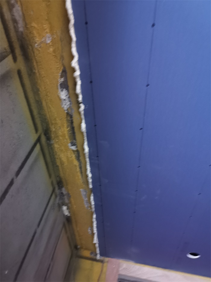 IMG_20221020_101704.jpg