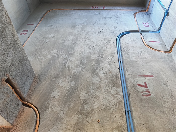 IMG_20221021_132135.jpg