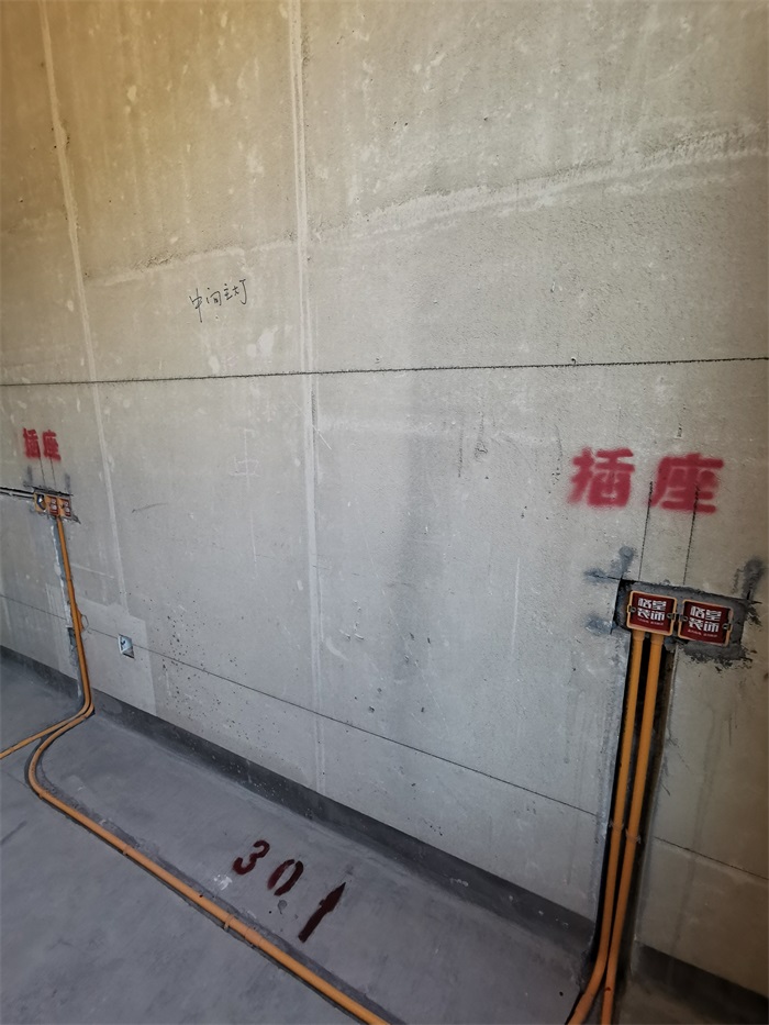 IMG_20221020_154302.jpg