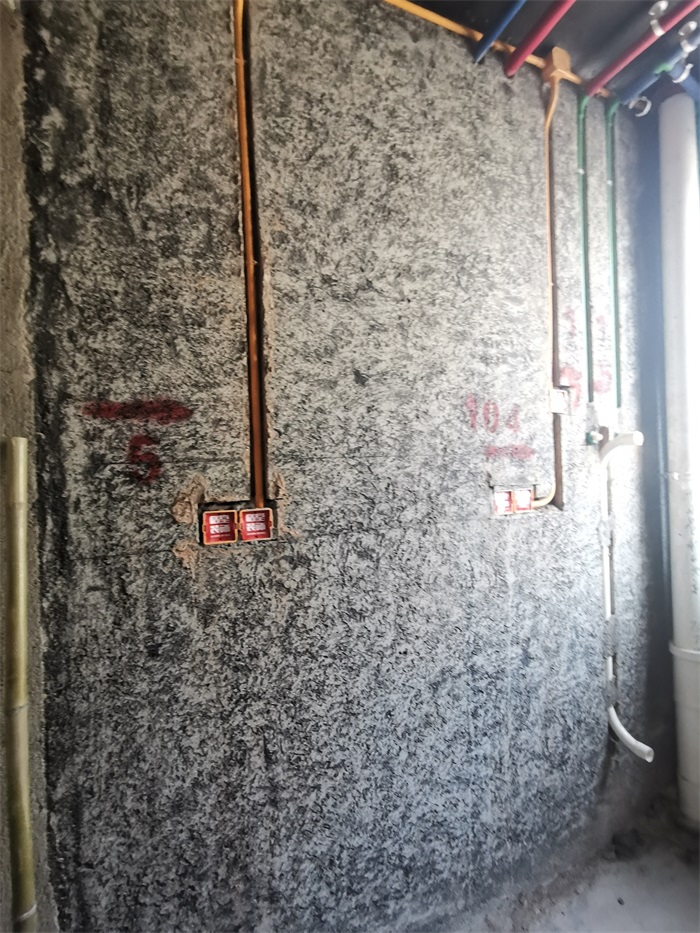 IMG_20221022_094851.jpg