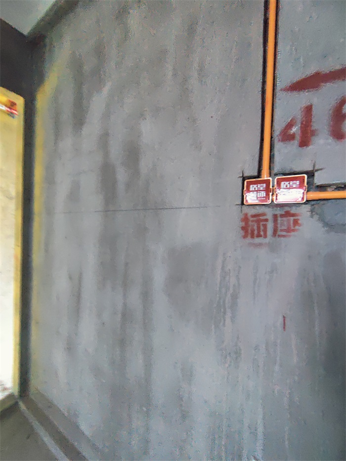IMG_20221027_094555.jpg