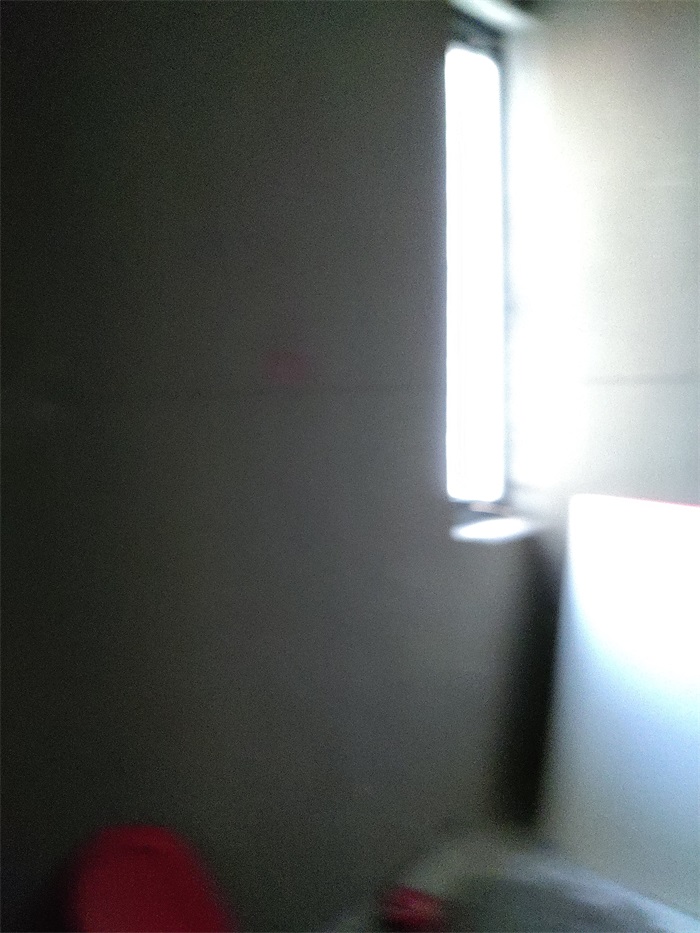 IMG_20221014_083644.jpg