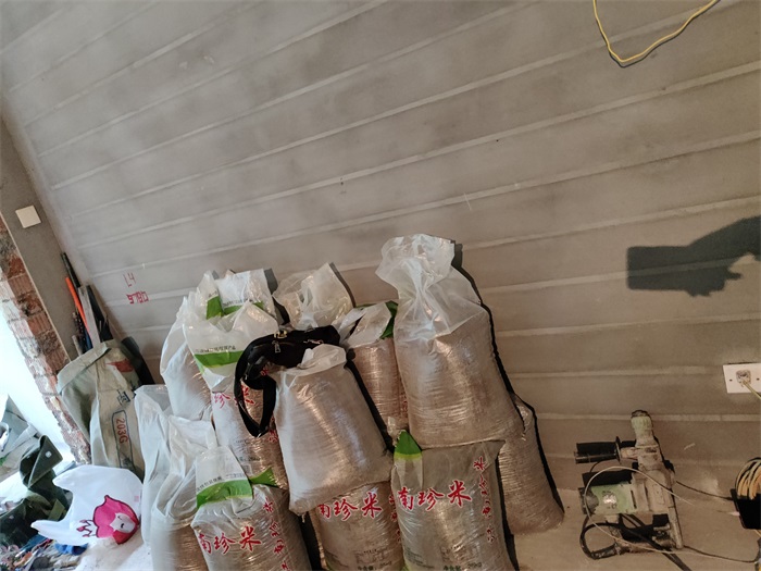 IMG_20221008_110351.jpg