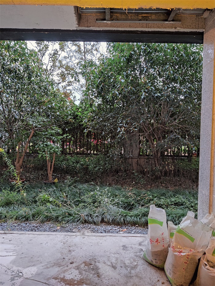 IMG_20221027_160910.jpg