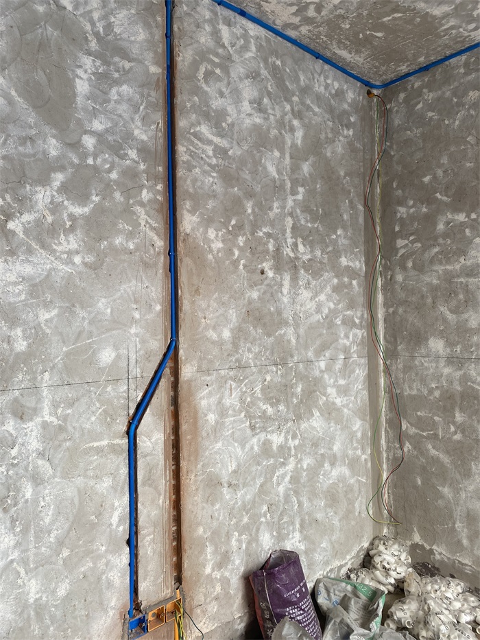 IMG_4493.JPG