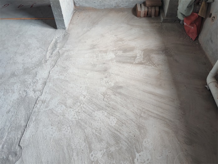 IMG_20221104_094206.jpg