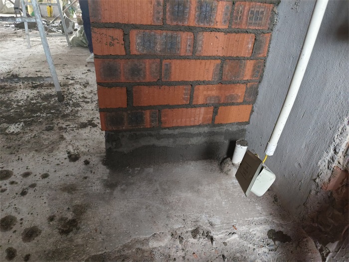 mmexport1667549190265.jpg